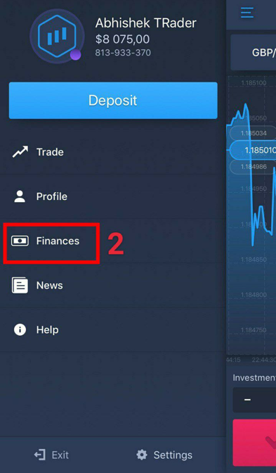 Then go to the “Finances” tab
            